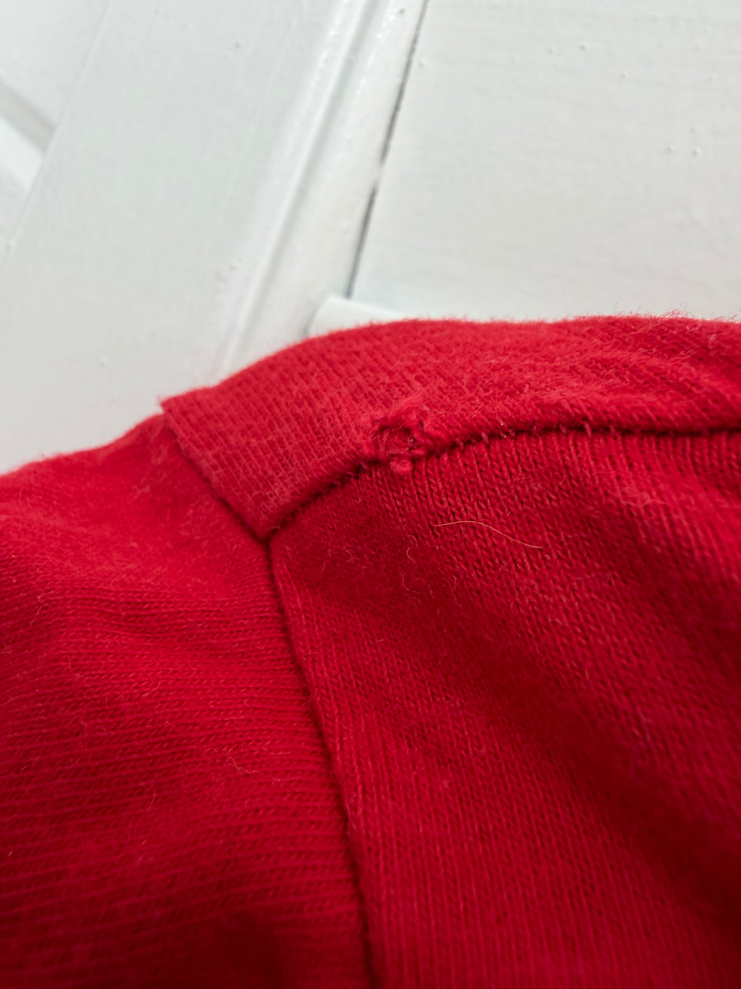 “the berryest sort of season” tee/dress