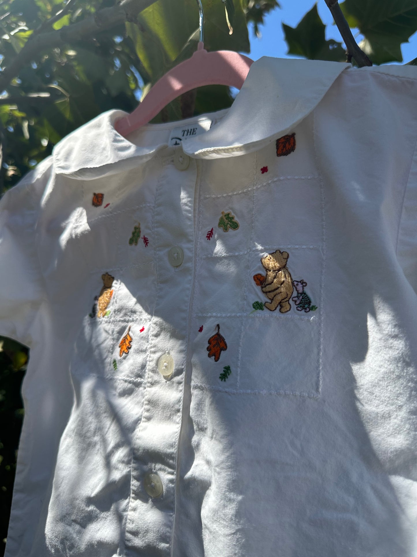 winnie the pooh fall shirt 5T