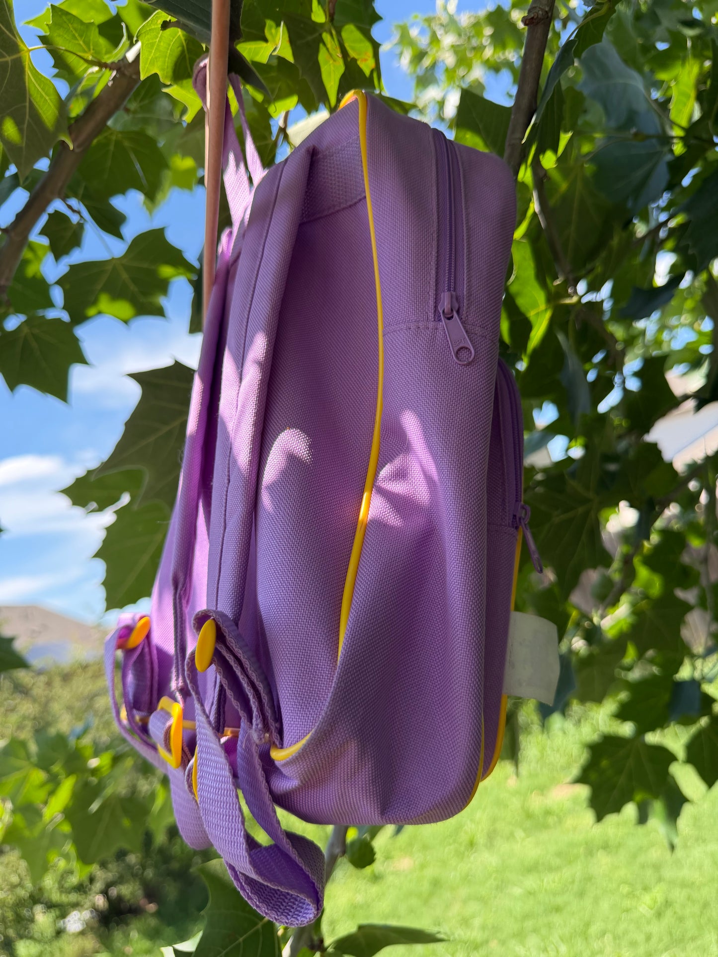 dora ladybug backpack 🐞