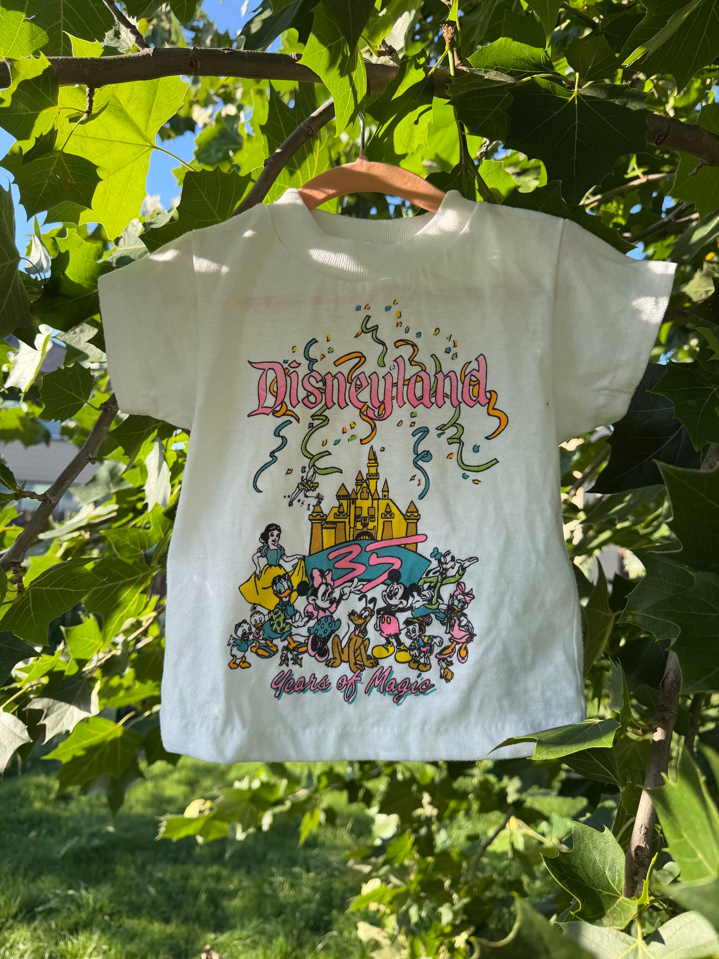 disneyland tee 3T