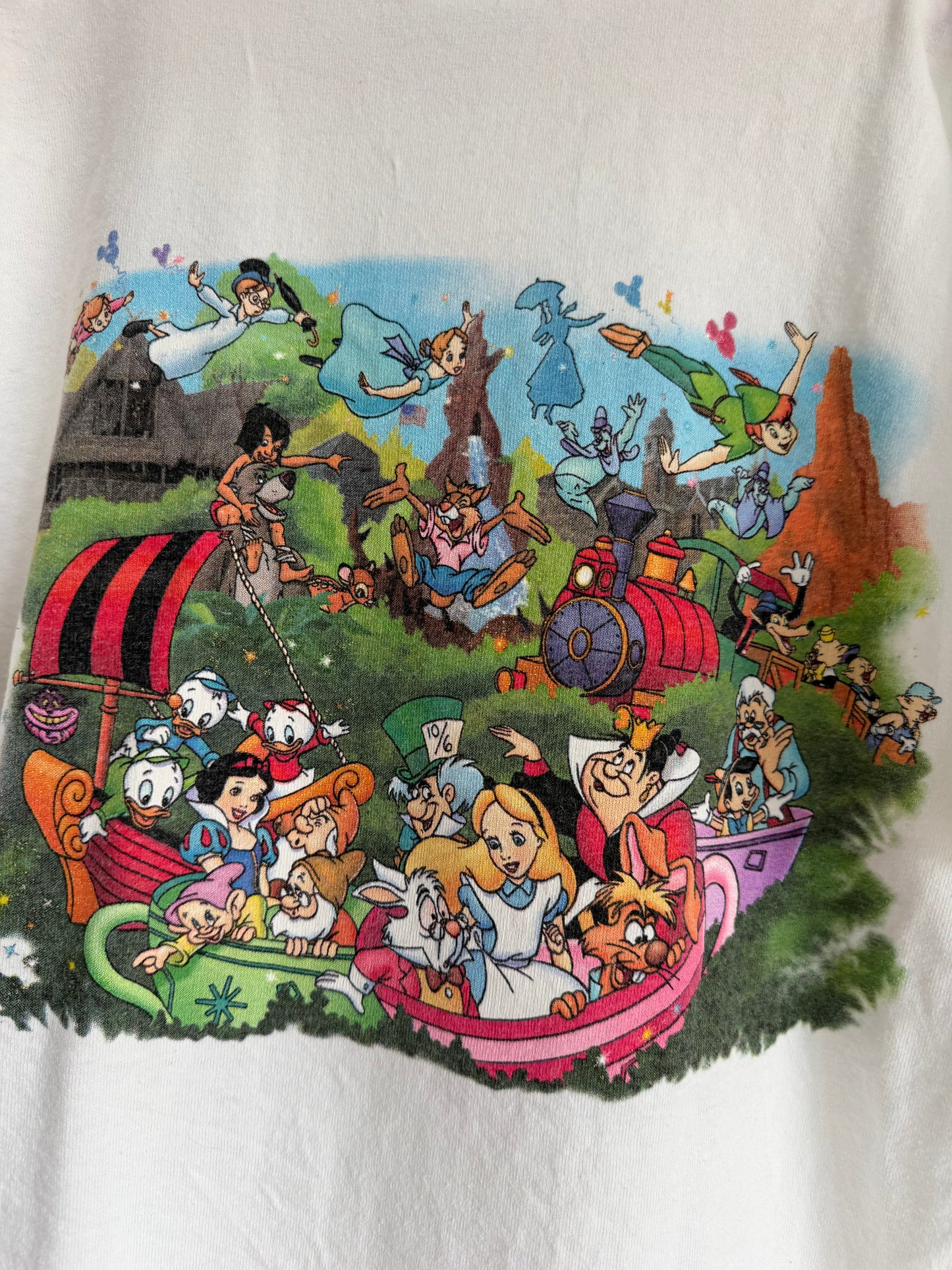 magic kingdom double sided tee youth L