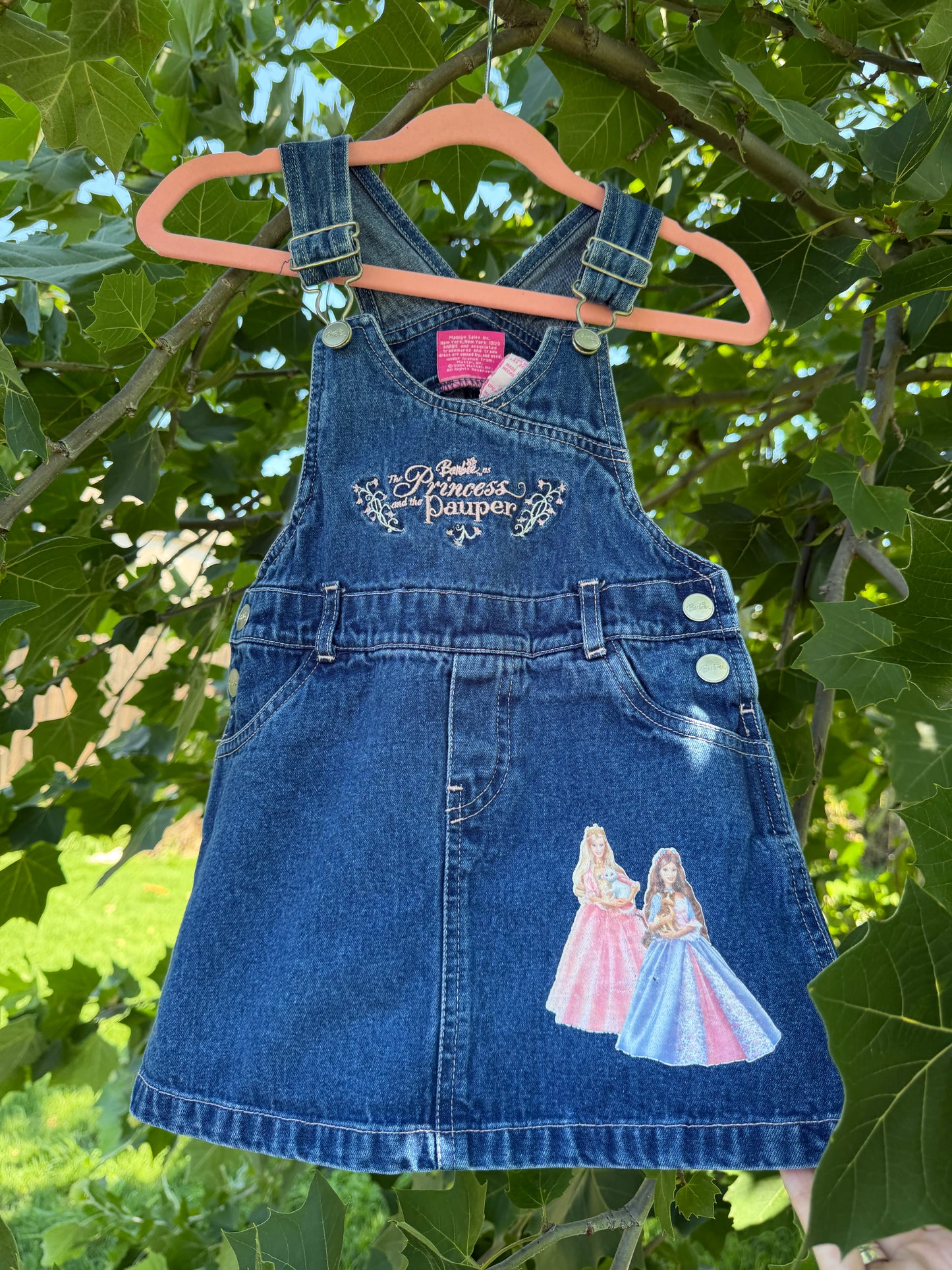 princess & pauper dressall 2T