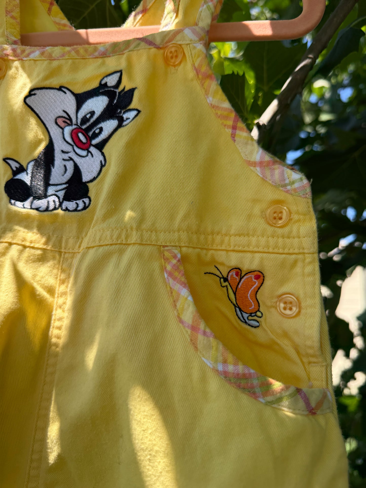 looney tunes overalls/hat set