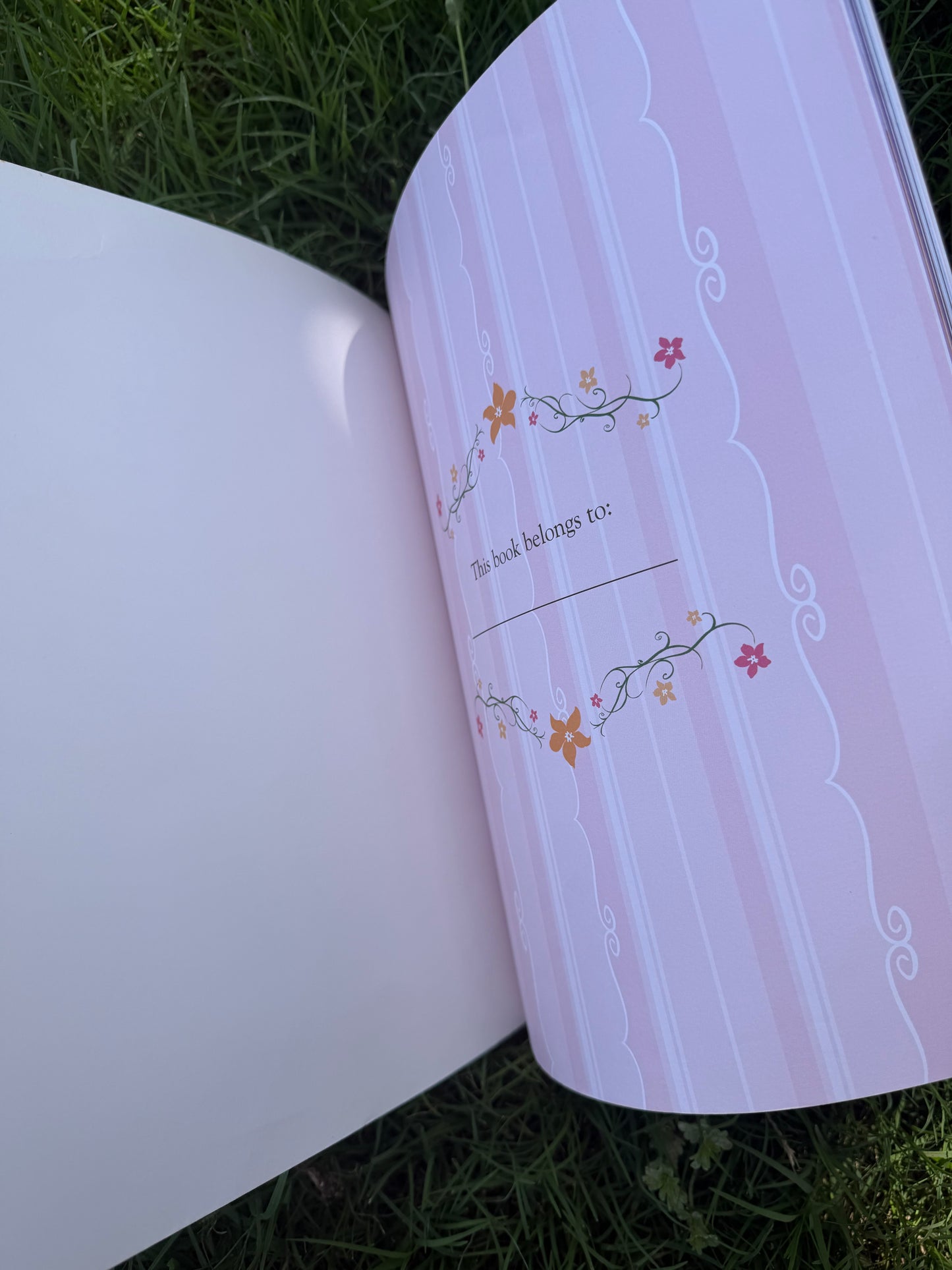 princess & pauper book