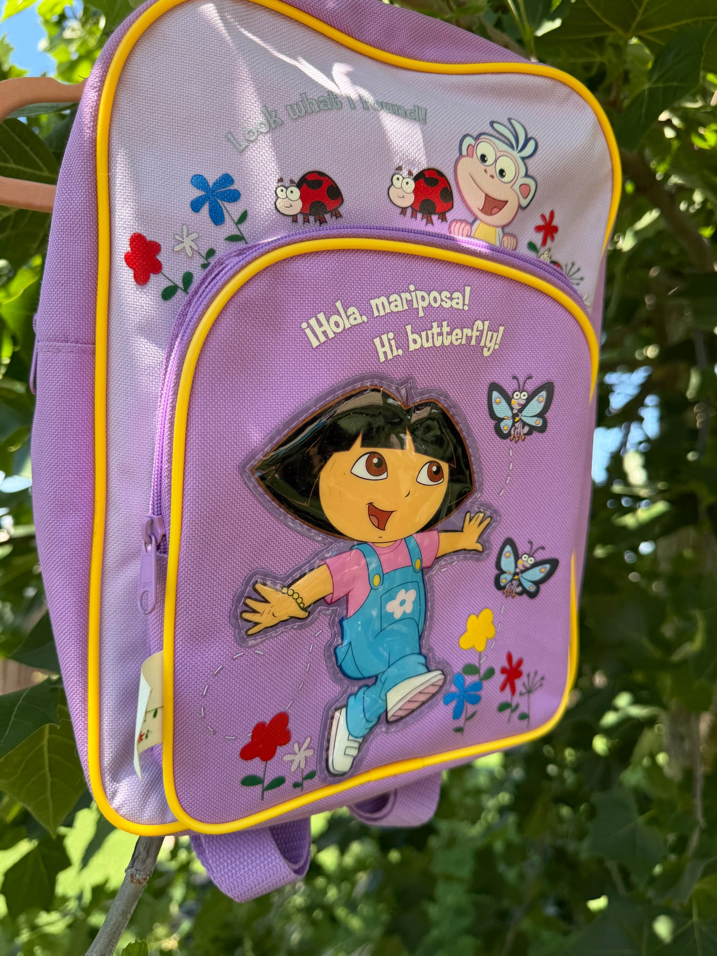 dora ladybug backpack 🐞