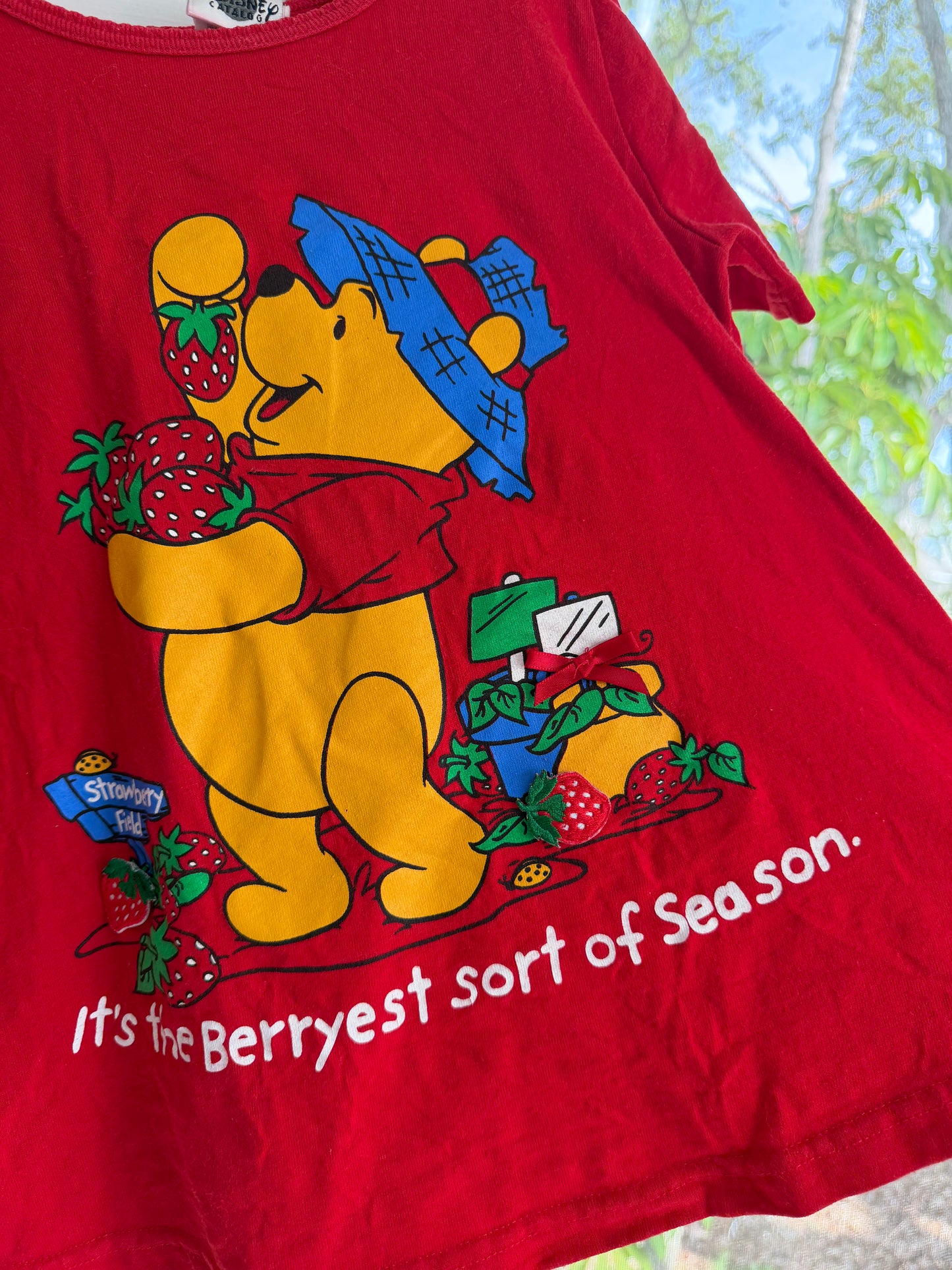 “the berryest sort of season” tee/dress