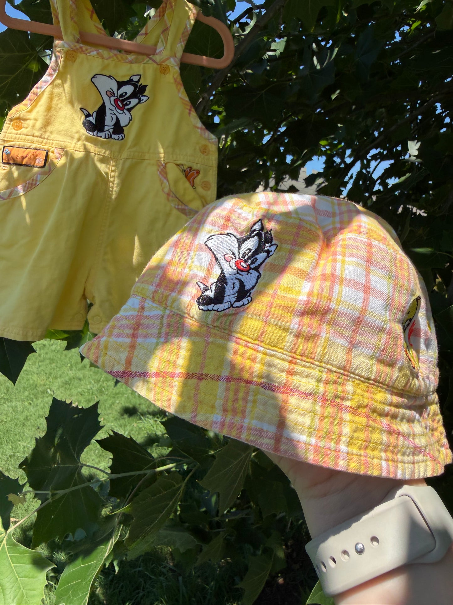 looney tunes overalls/hat set