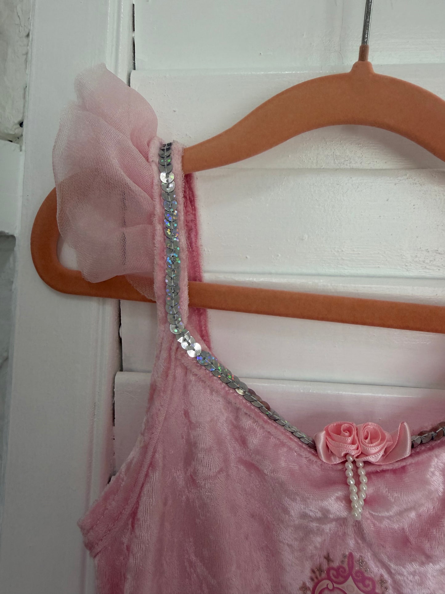 cinderella leotard 5/6