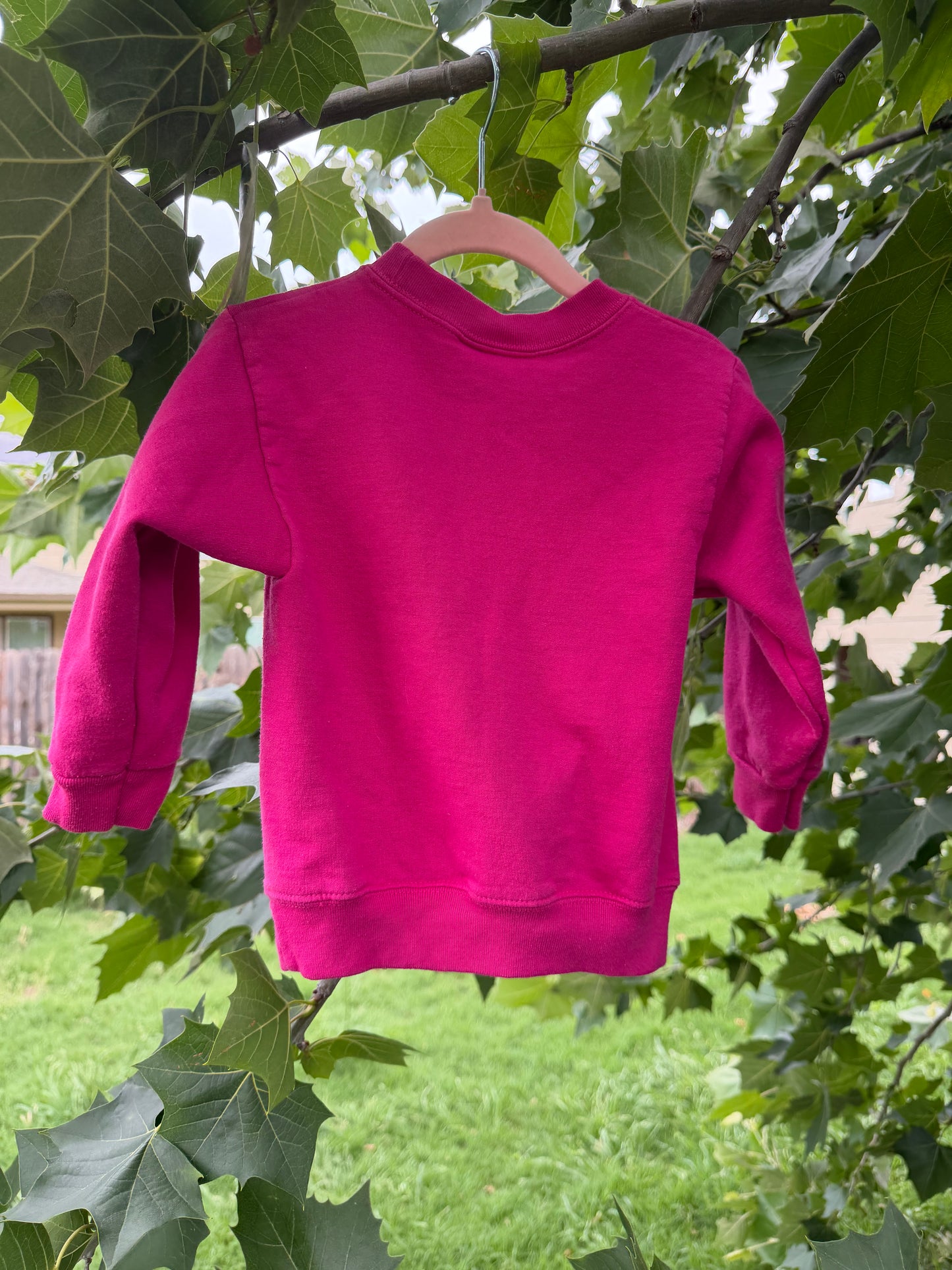 minnie “my first trip” sweatshirt 3T