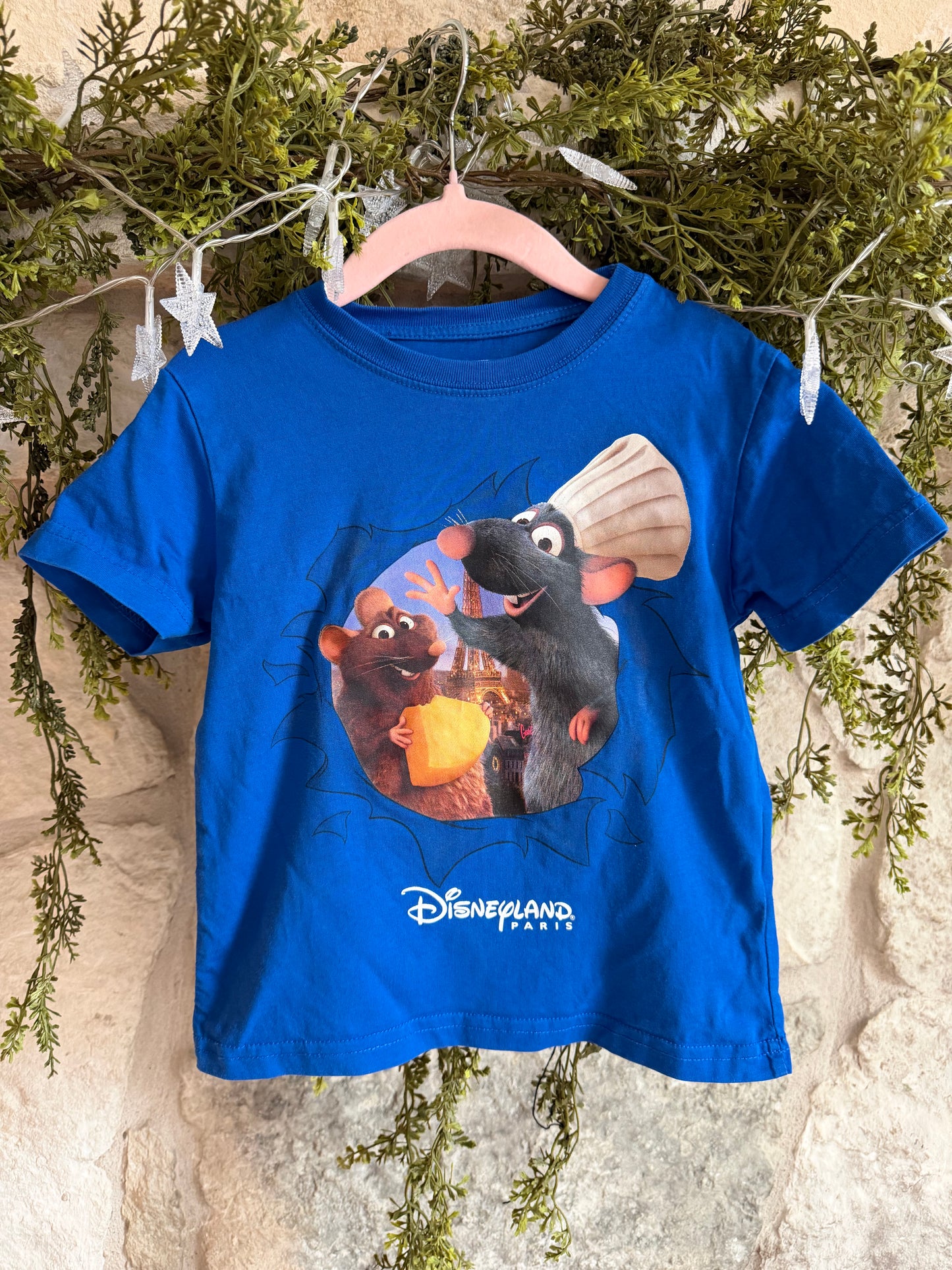 disneyland paris ratatouille t shirt 4T