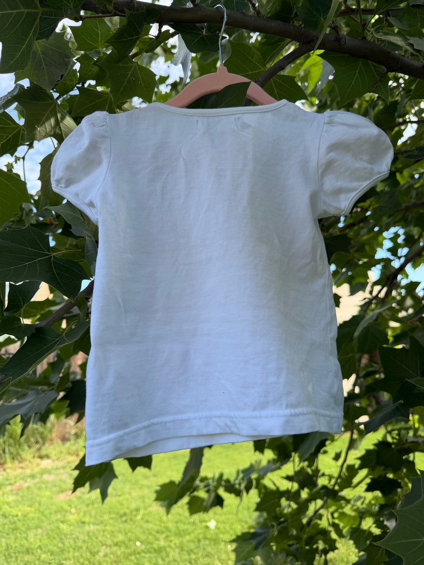 hello little friends pooh tee 3/4T