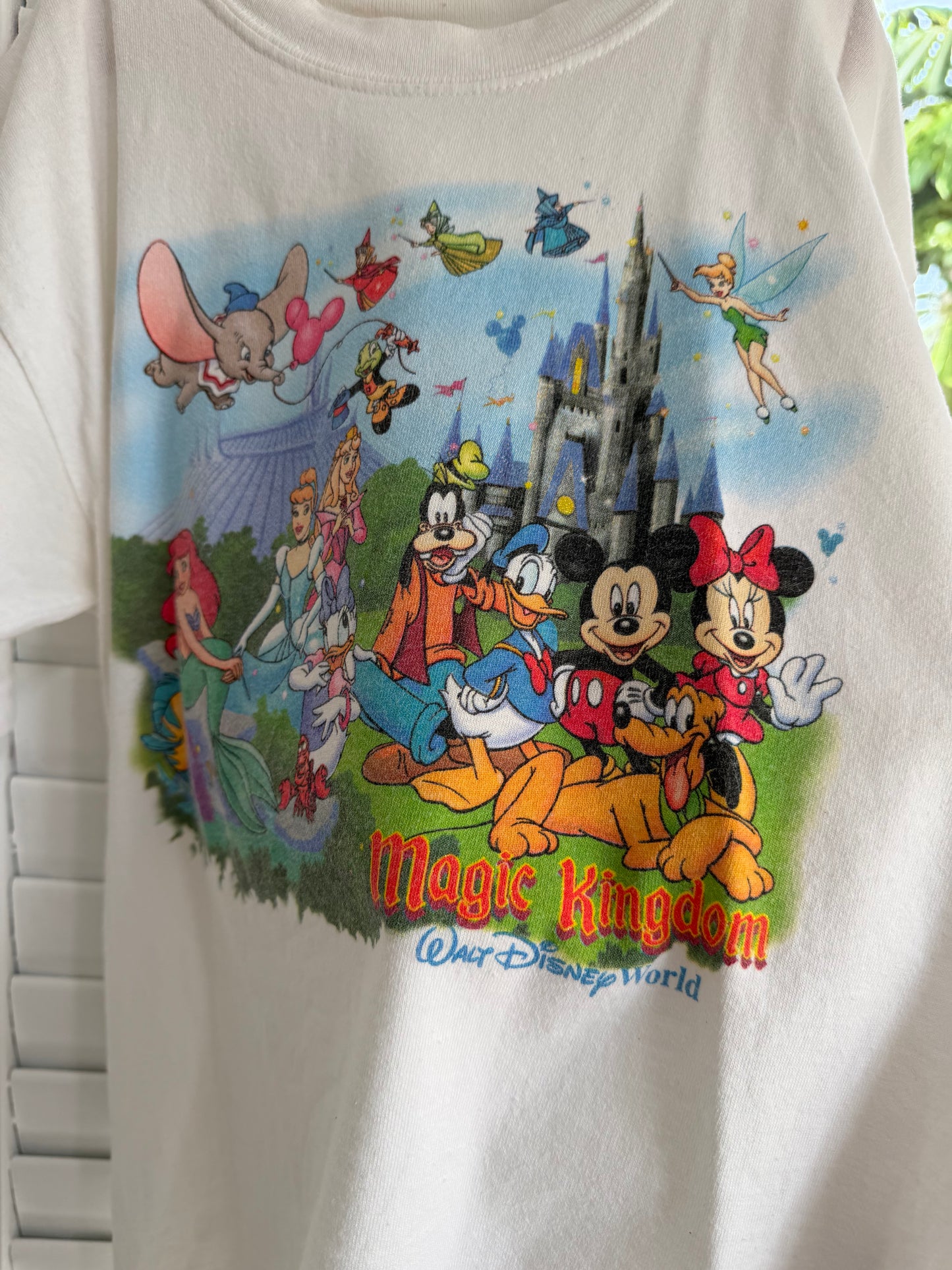 magic kingdom double sided tee youth L
