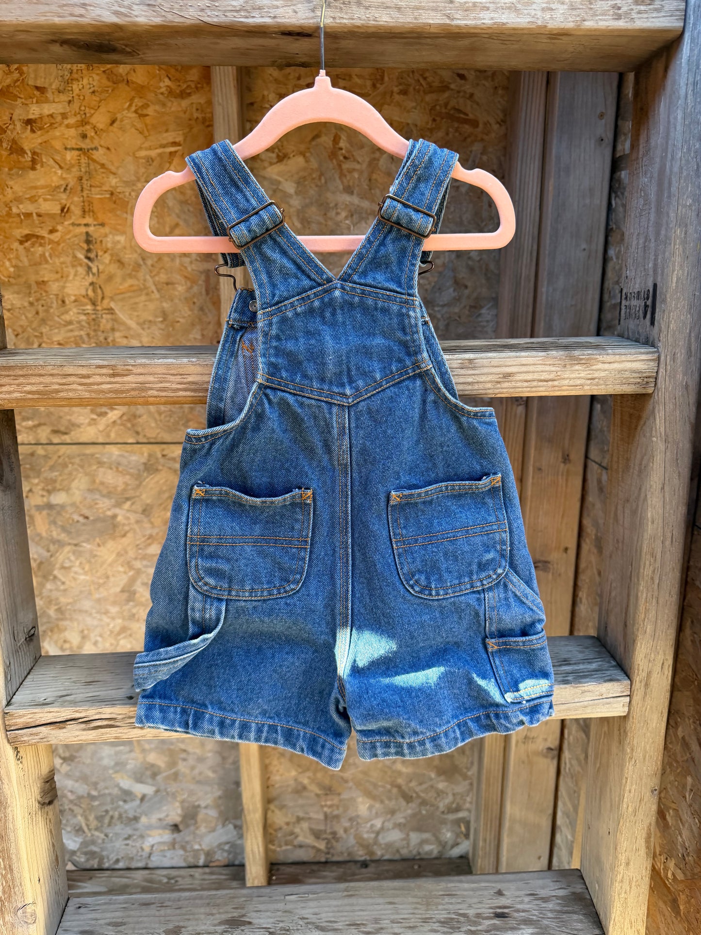 dr seuss shortalls 2T