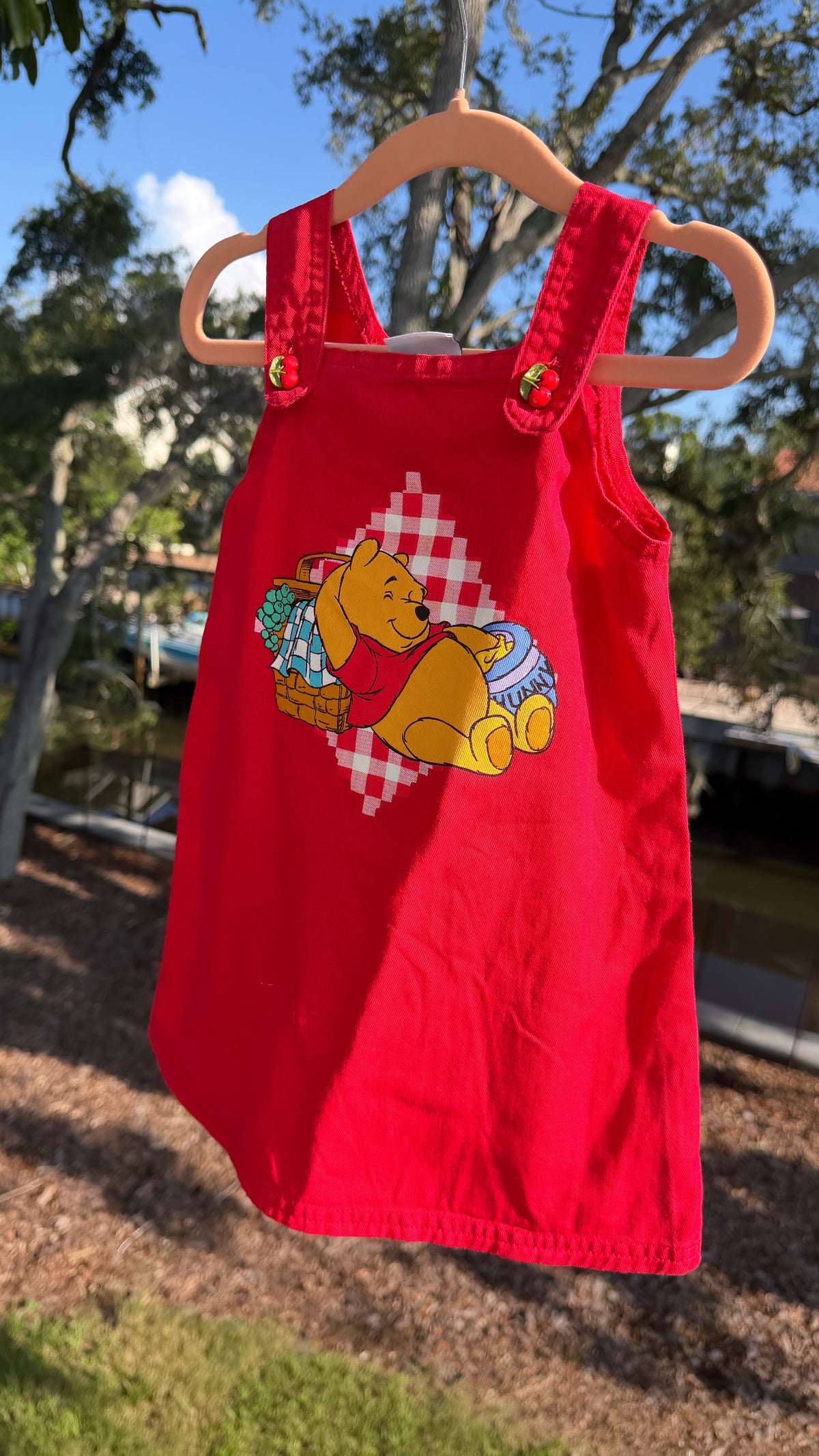 winnie the pooh cherry dress 2T