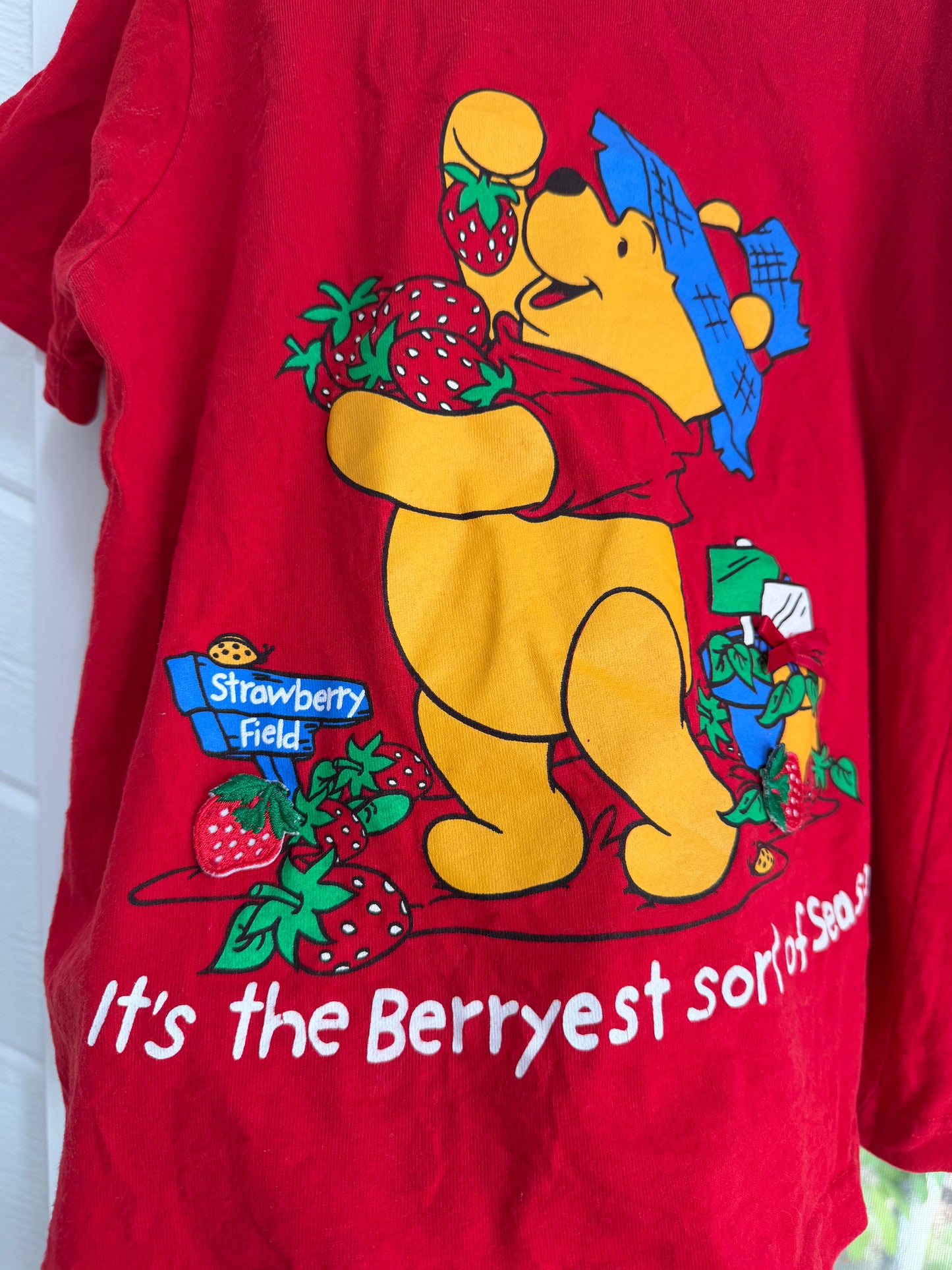 “the berryest sort of season” tee/dress