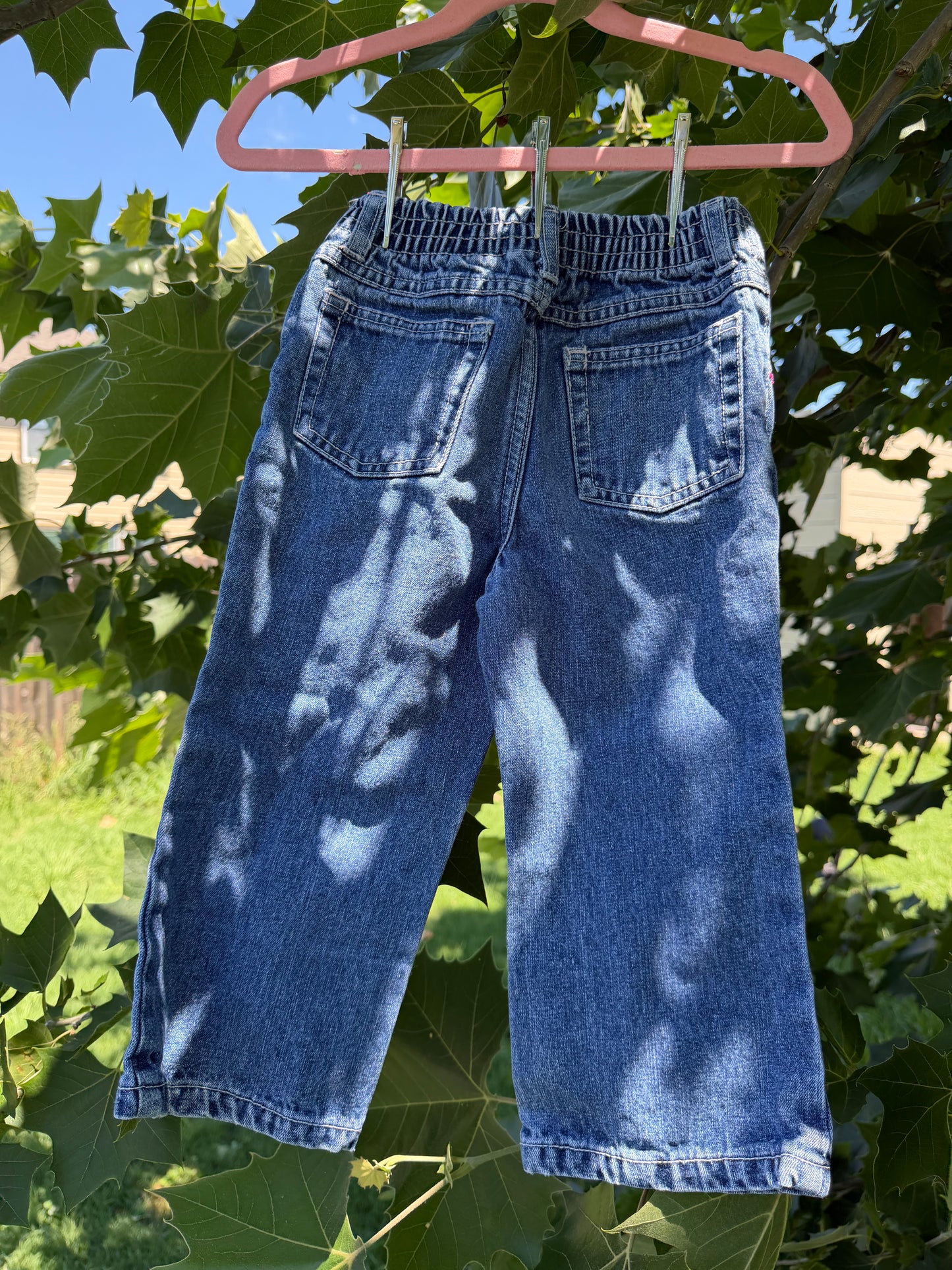 2005 fairytopia pants 3T
