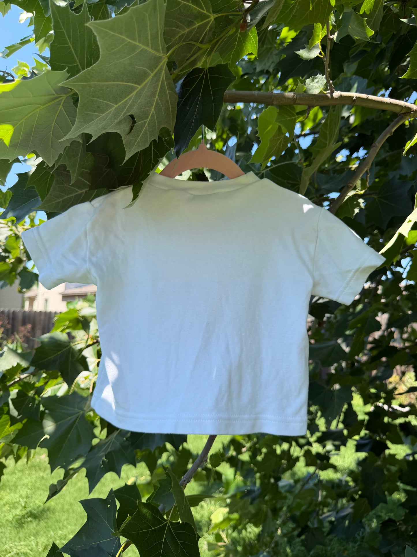 first pooh t shirt 12m