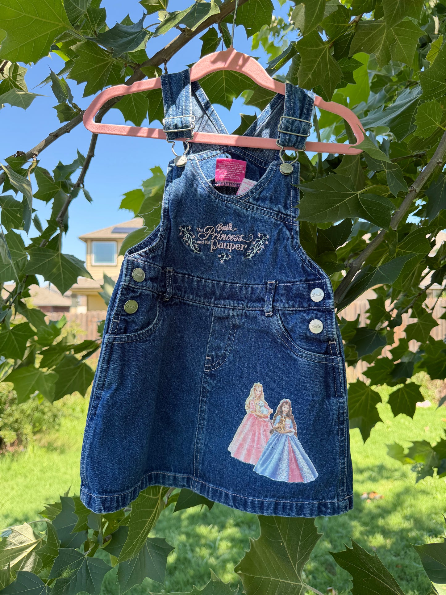 princess & pauper dressall 2T