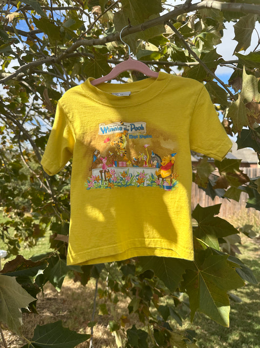 WDW pooh birthday party t shirt 2T