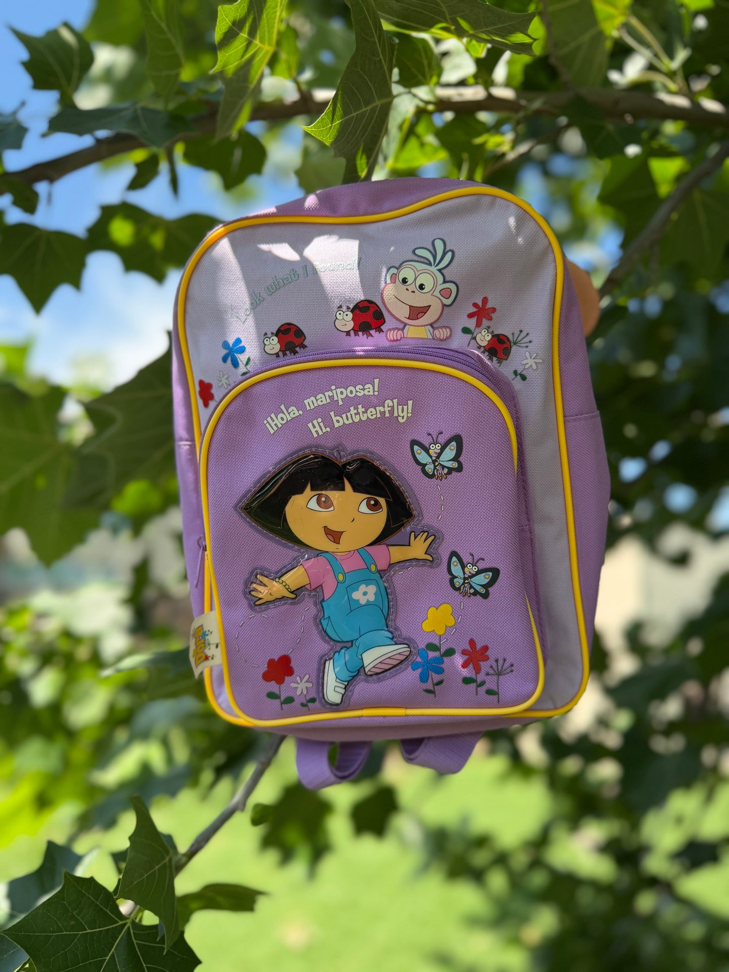 dora ladybug backpack 🐞