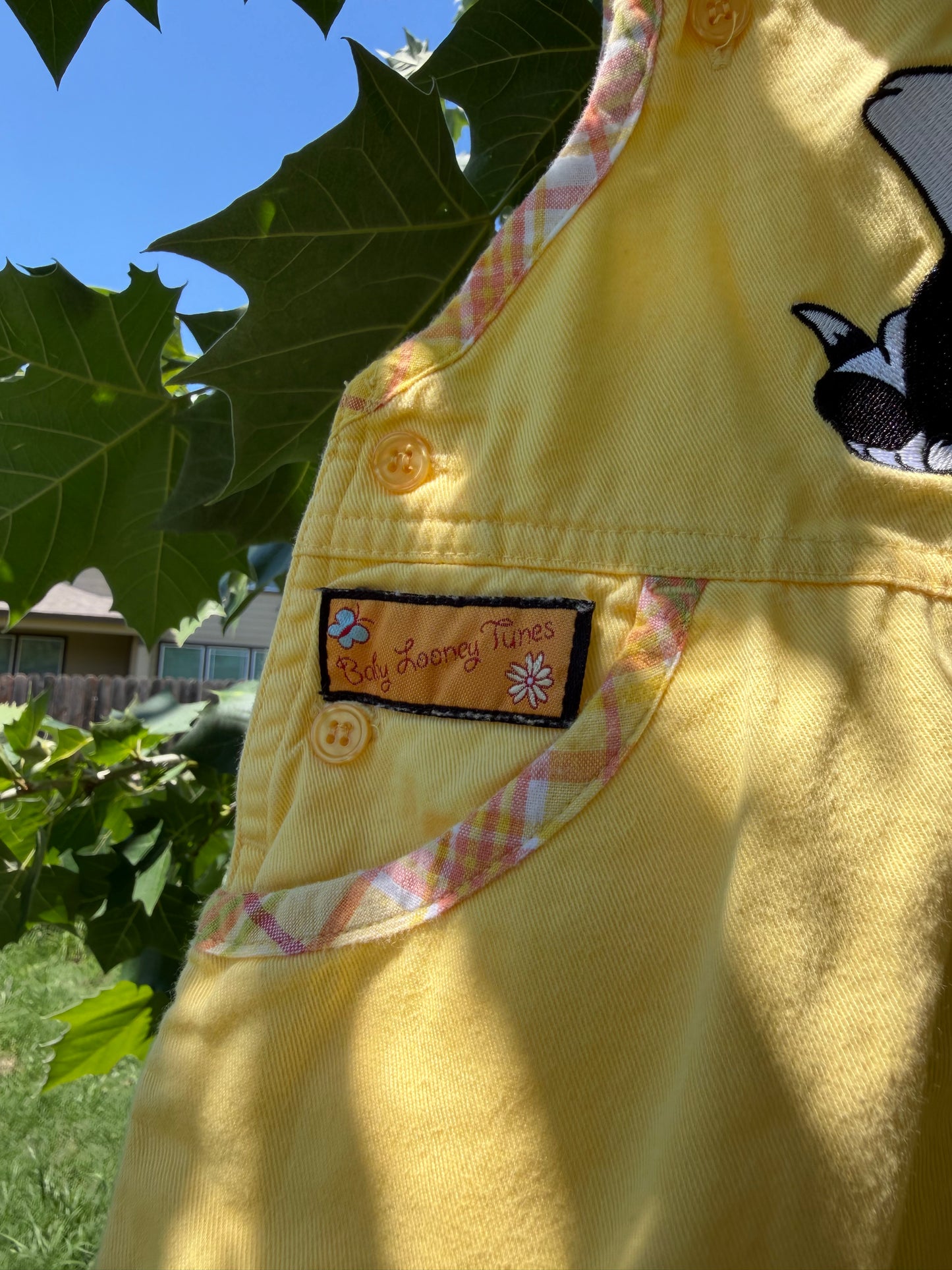looney tunes overalls/hat set