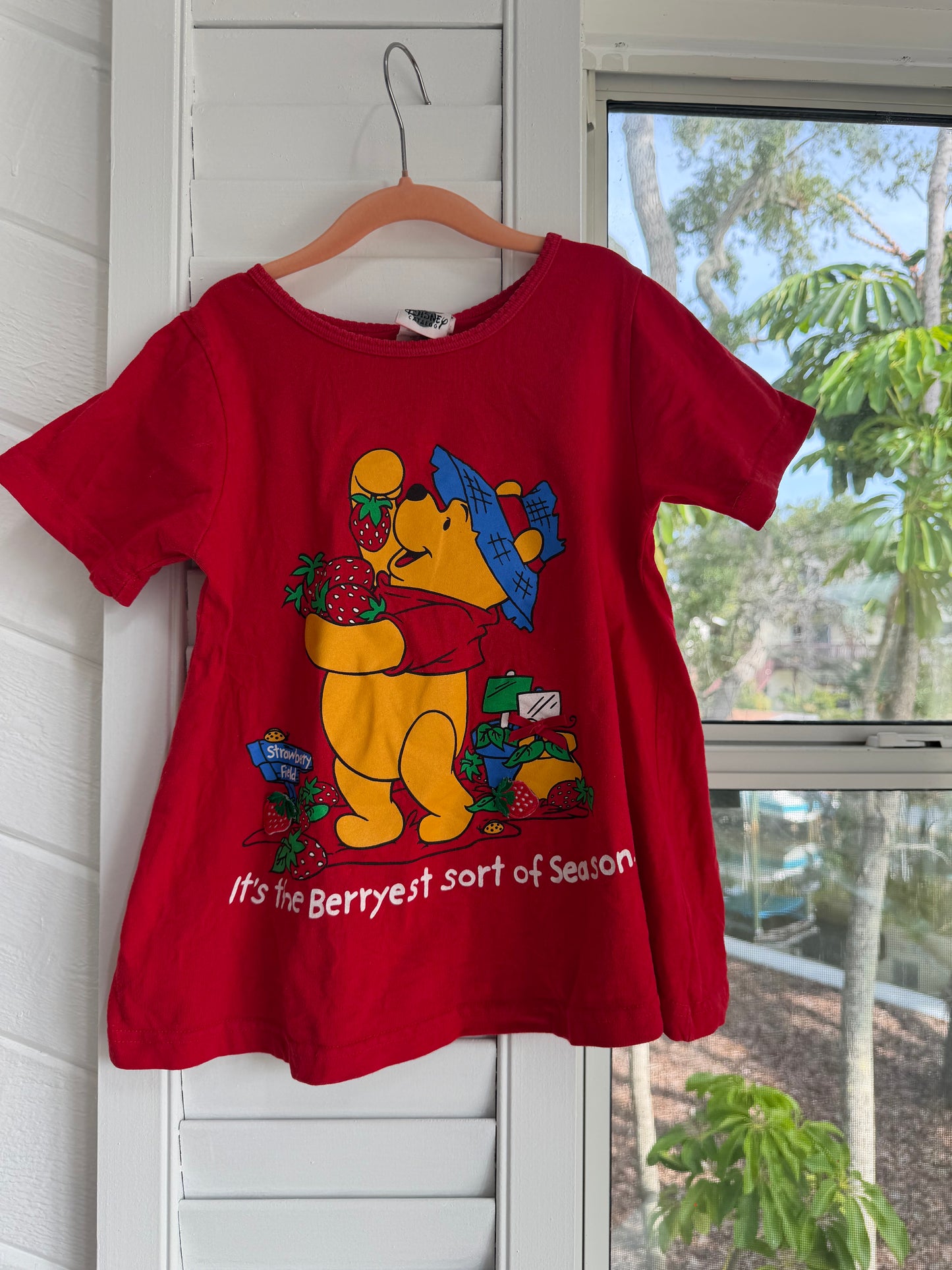 “the berryest sort of season” tee/dress
