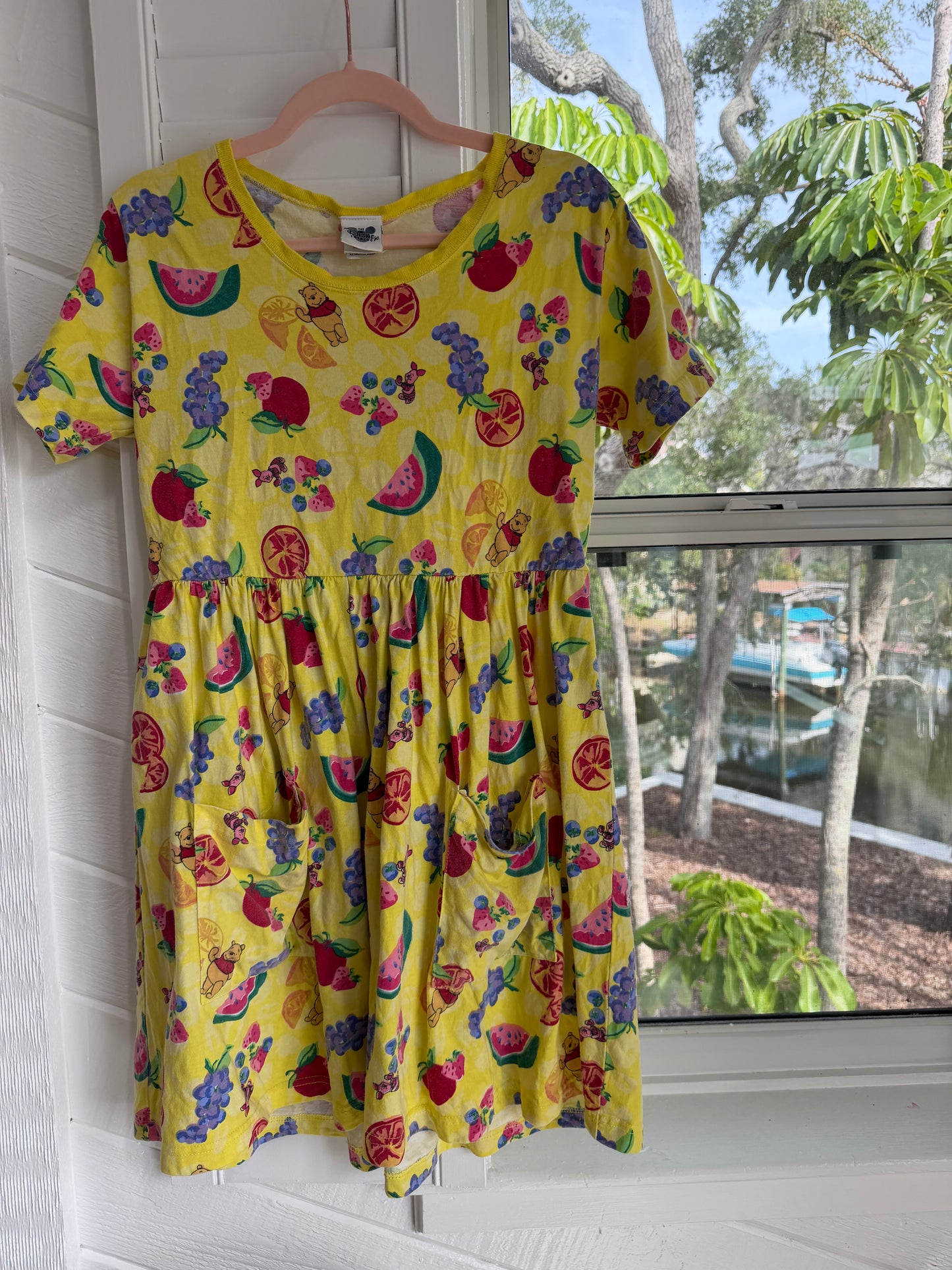 fruit aop pooh dress adults M