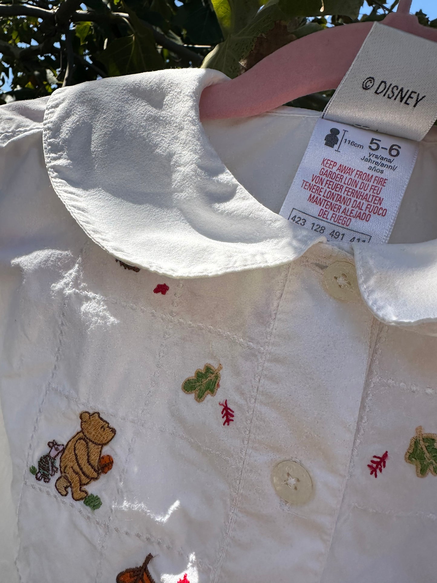 winnie the pooh fall shirt 5T