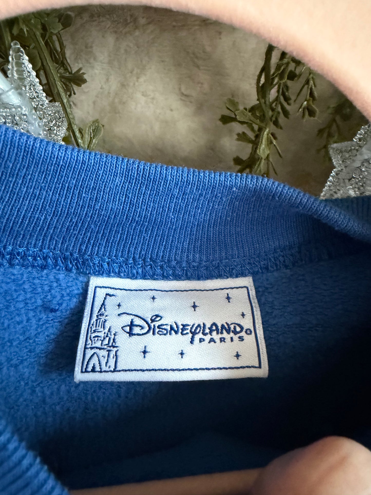 disneyland paris mickey and friends sweater youth M