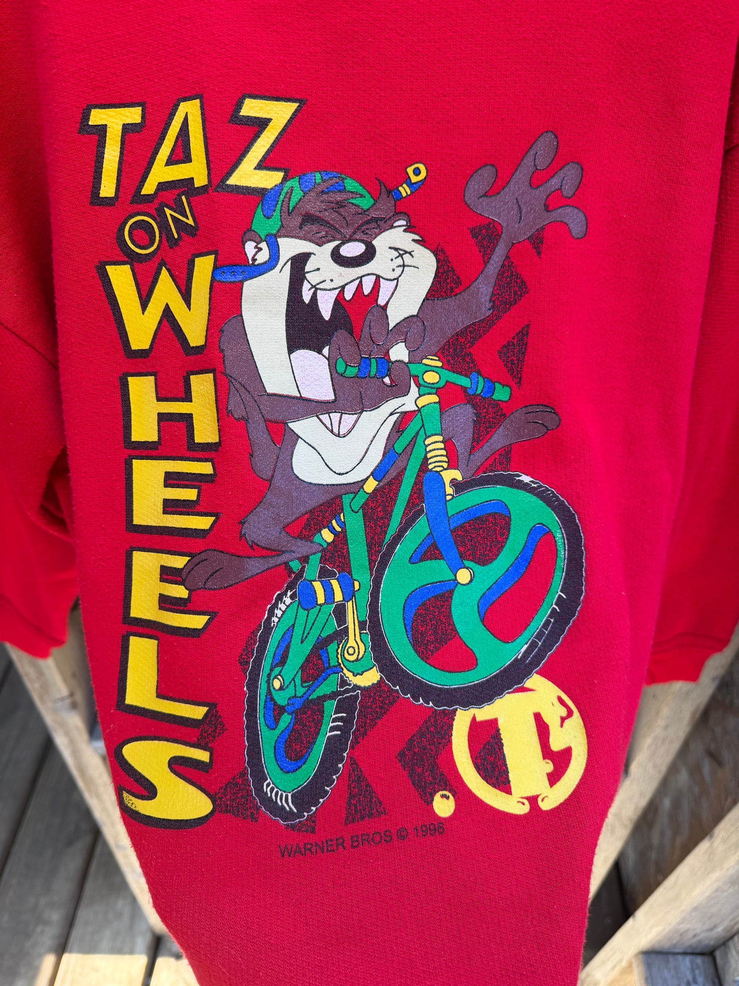 1996 taz sweatshirt youth M