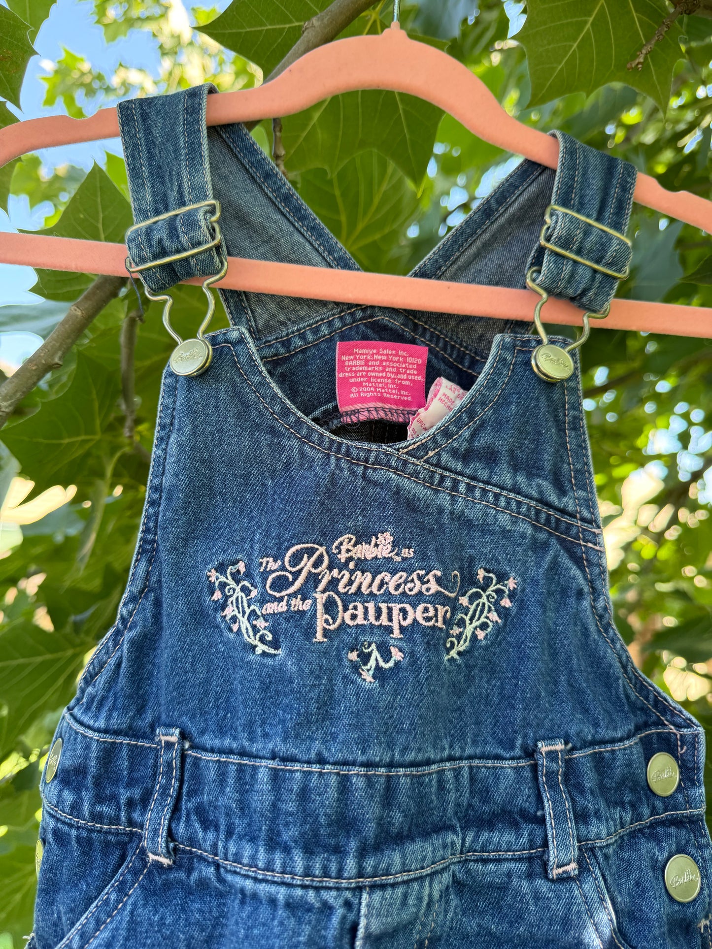 princess & pauper dressall 2T