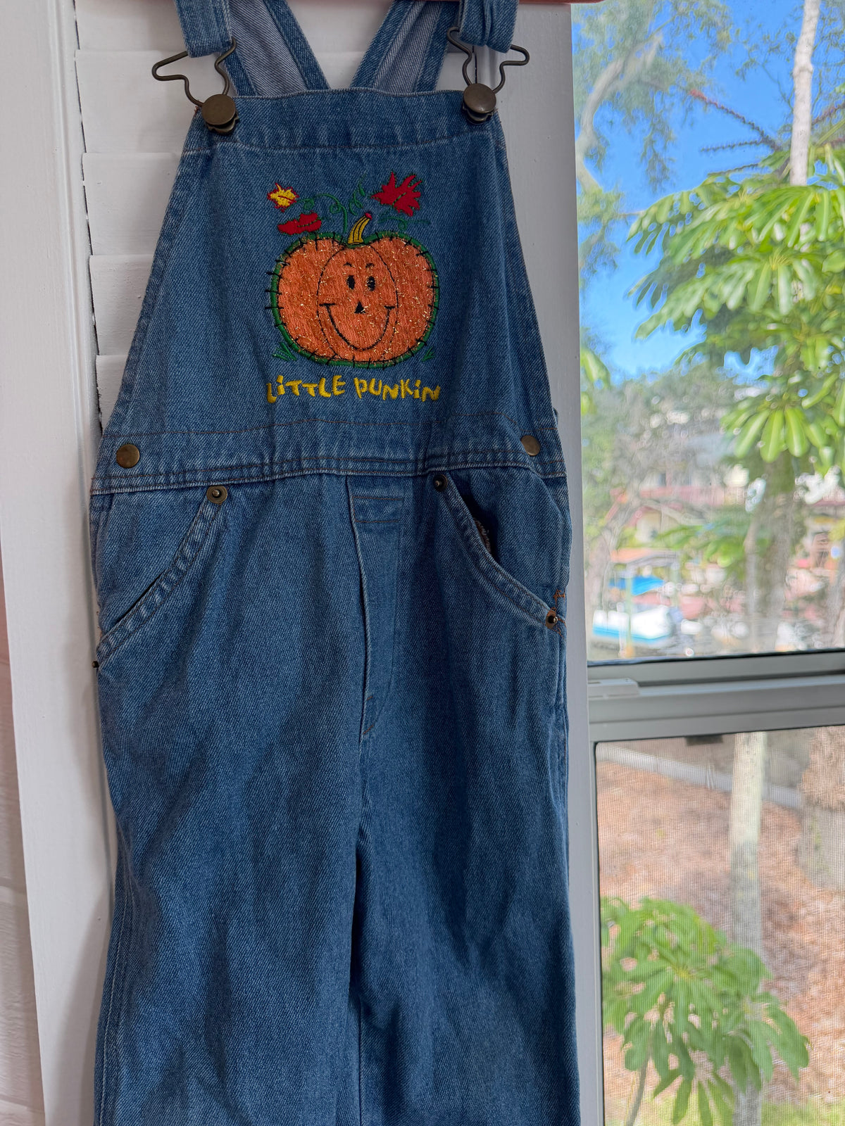 “little punkin” overalls 2T