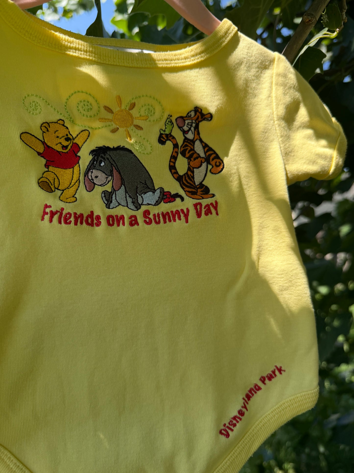 disneyland Pooh bodysuit 6m
