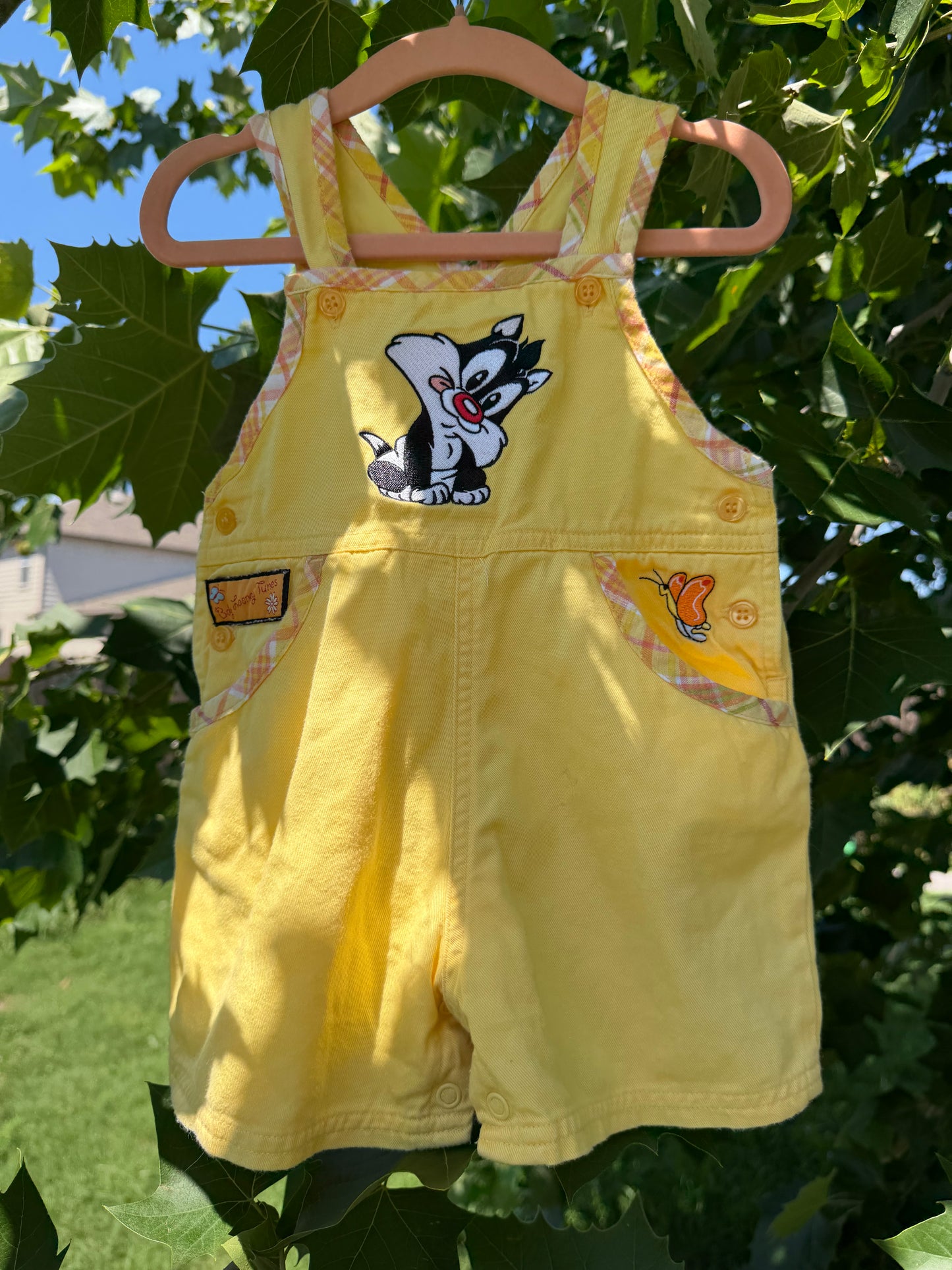 looney tunes overalls/hat set