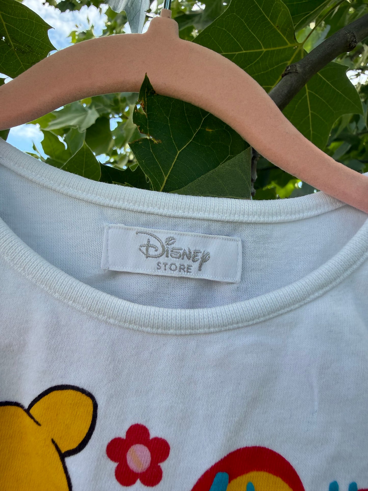 hello little friends pooh tee 3/4T