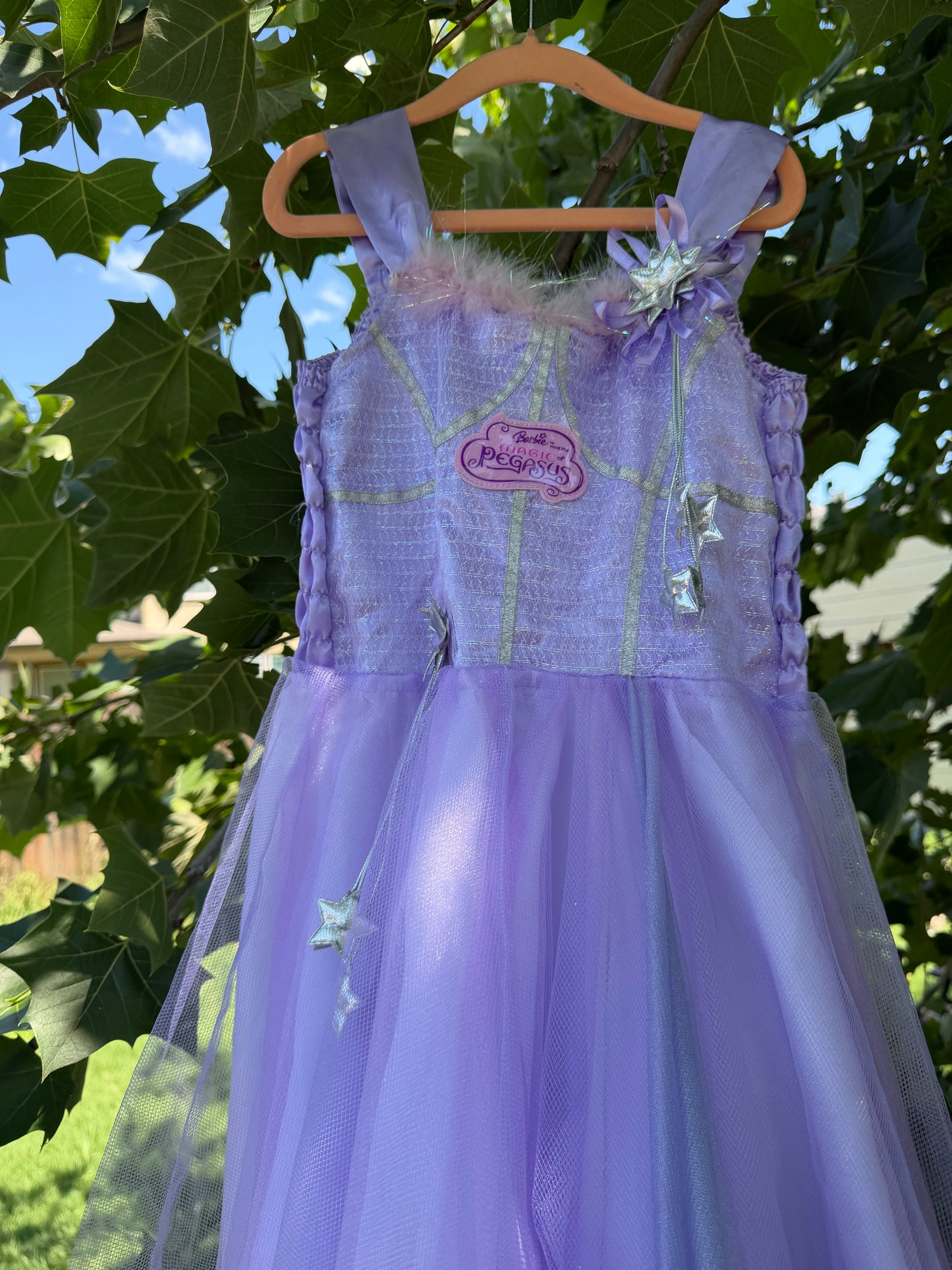 magic of pegasus dress 4-5
