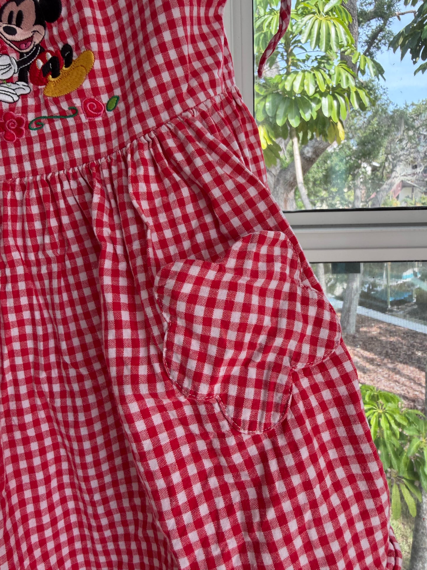 gingham mickey & minnie dress 3T