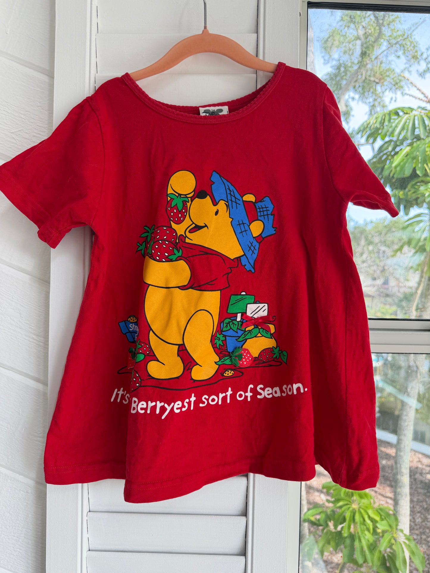 “the berryest sort of season” tee/dress