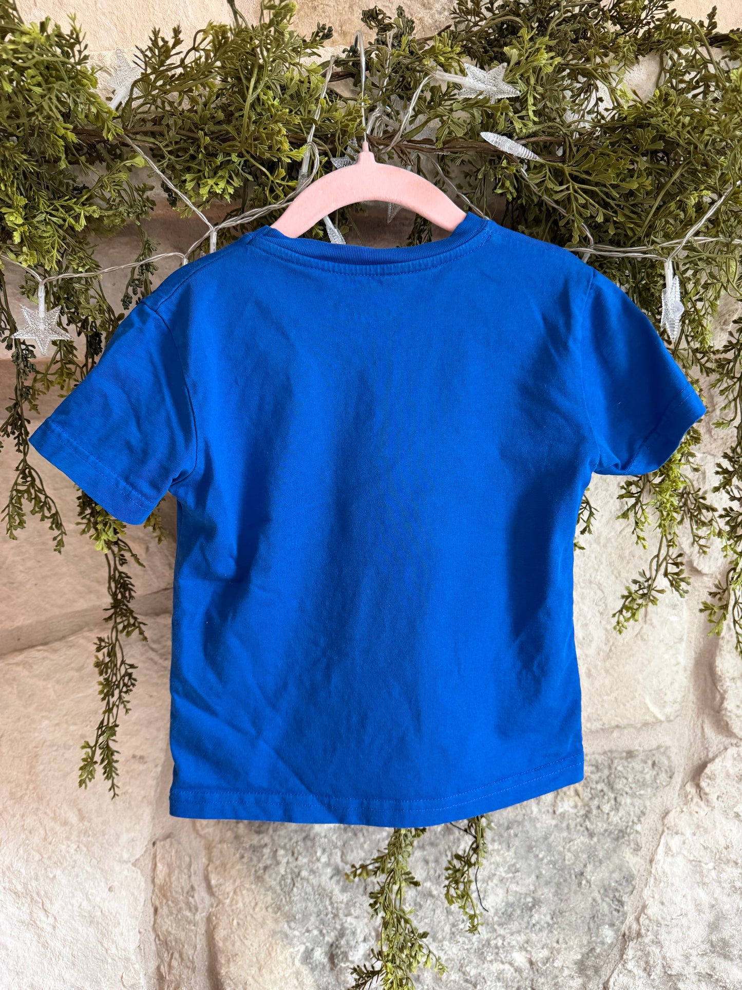 disneyland paris ratatouille t shirt 4T