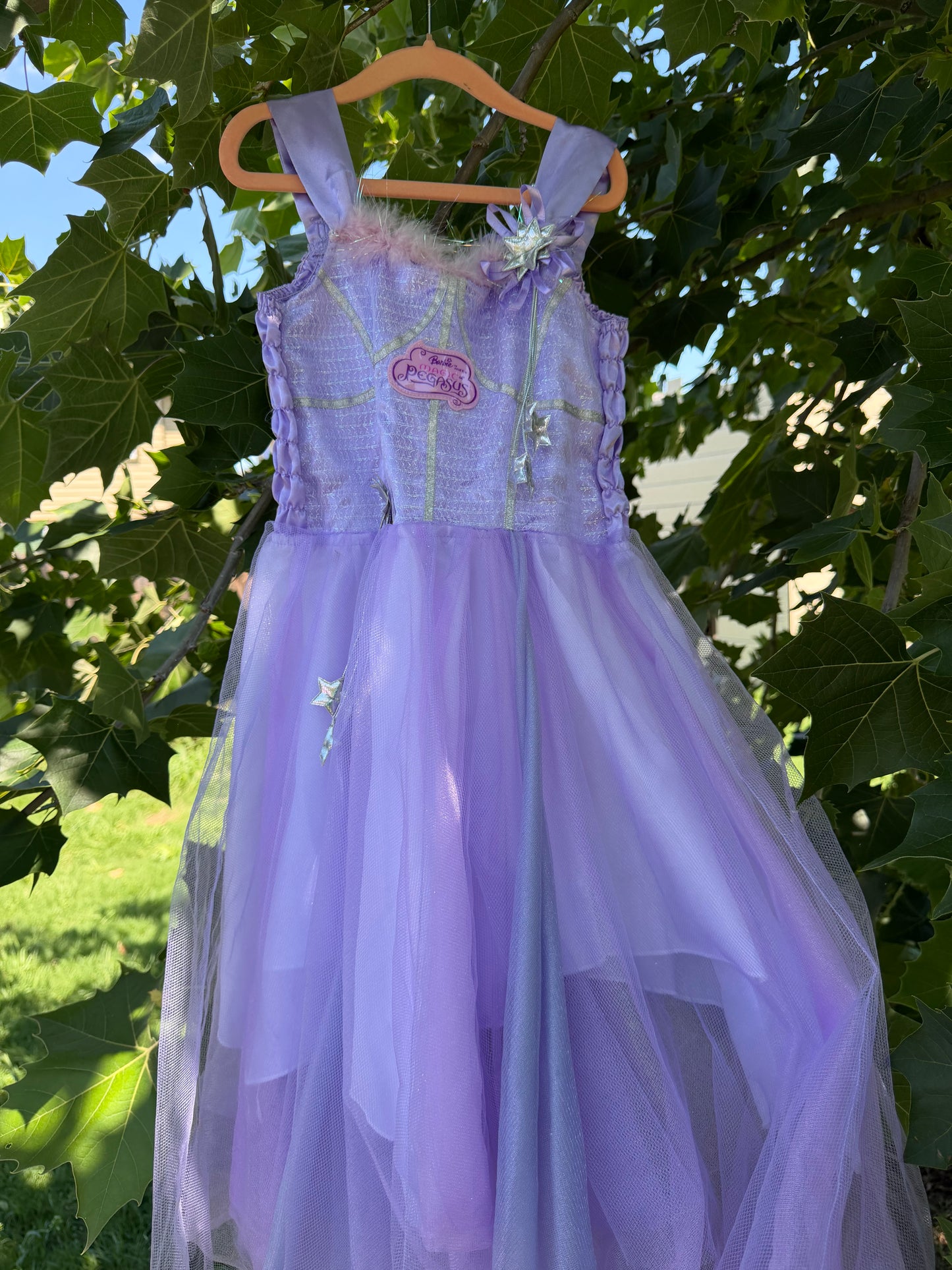 magic of pegasus dress 4-5