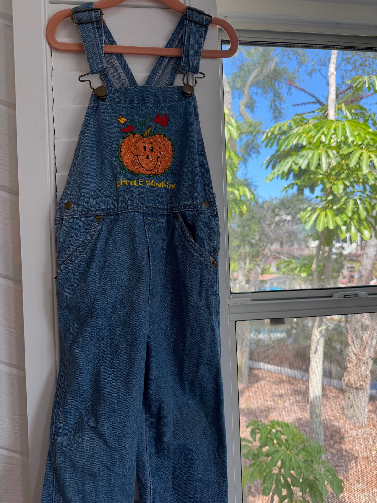 “little punkin” overalls 2T