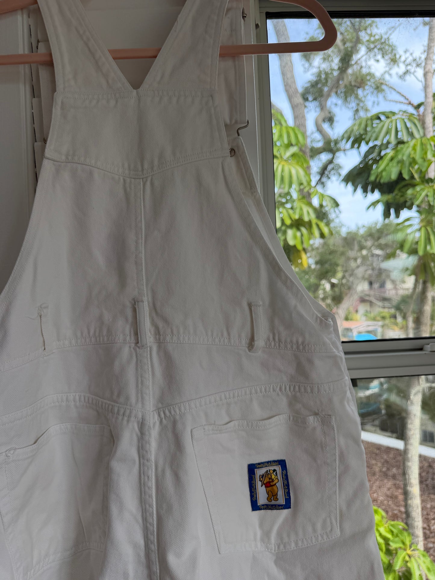 pooh’s fruit stand shortalls adults S